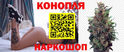 Альфа ПВП Нальчик