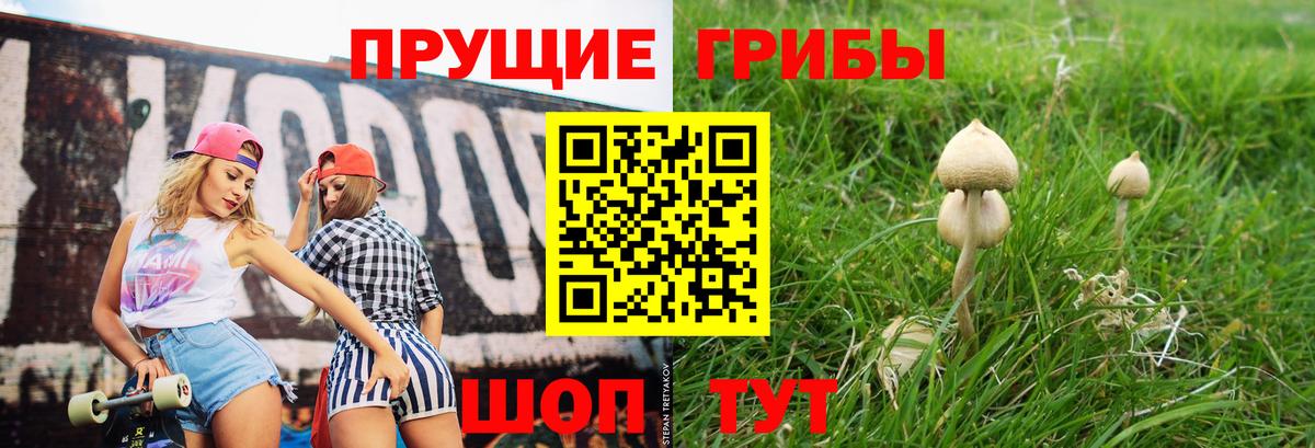 Галлюциногенные грибы MAGIC MUSHROOMS Семёнов
